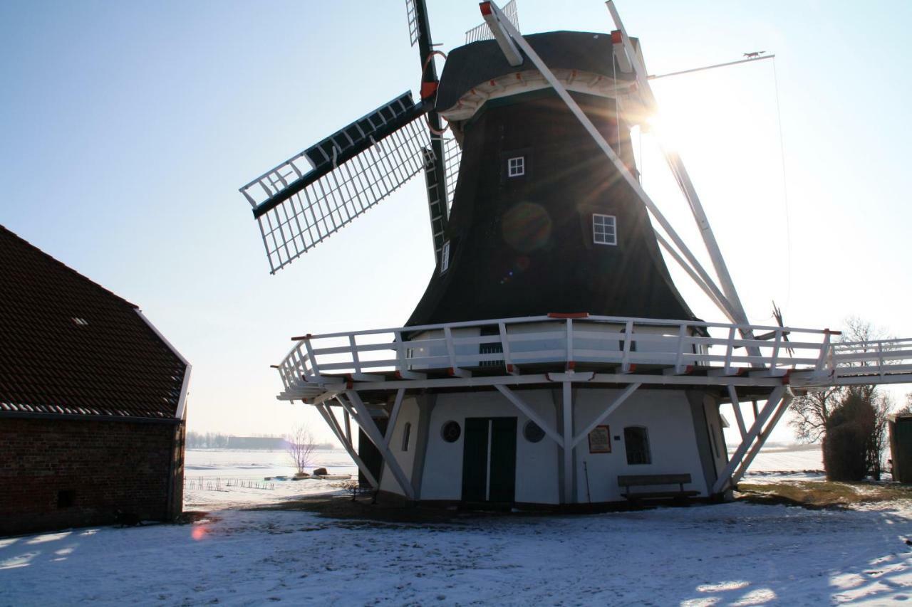 Haus Daniel Lejlighed Neuharlingersiel Eksteriør billede